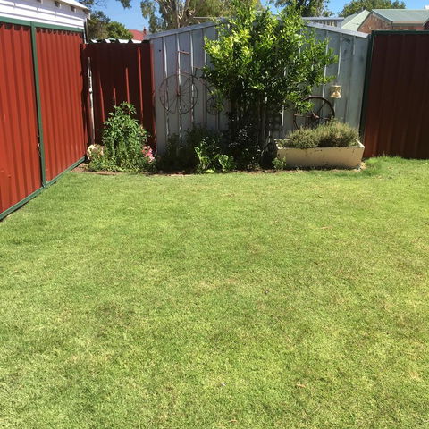 Bluebird Cottage - Accommodation QLD 29