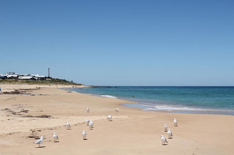 Bluebird Cottage - Accommodation QLD 40