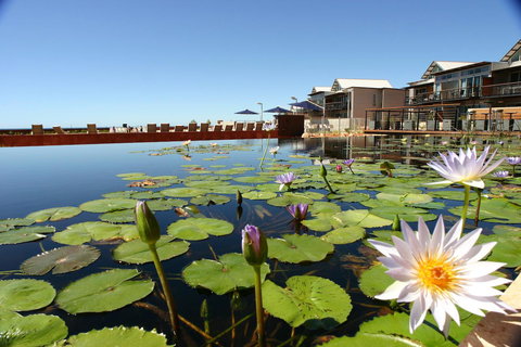 Mantarays Ningaloo Beach Resort - Accommodation QLD 4