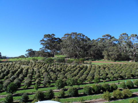 Tennessee Hill Chalets - Accommodation QLD 15