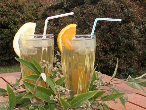 Tennessee Hill Chalets - Accommodation QLD 13