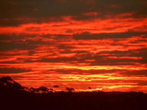 Tennessee Hill Chalets - Accommodation QLD 3