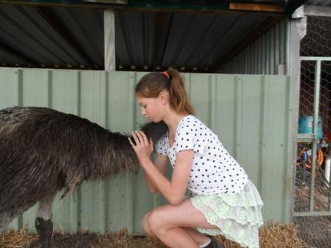 Tennessee Hill Chalets - Accommodation QLD 17