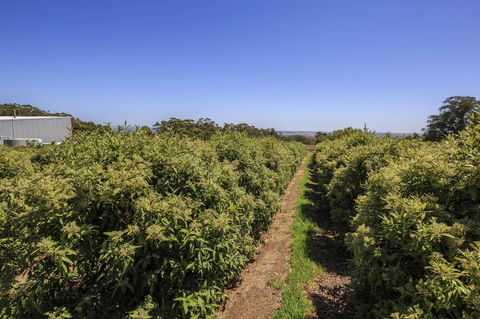 Tennessee Hill Chalets - Accommodation QLD 14