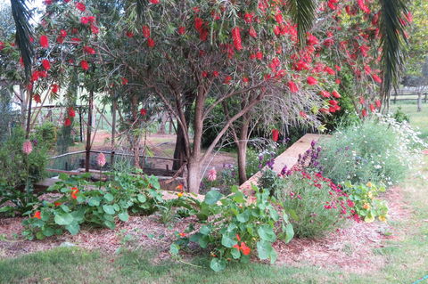 Bentwood Olive Grove Accommodation - Accommodation QLD 21