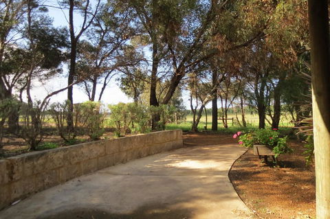 Bentwood Olive Grove Accommodation - Accommodation QLD 2