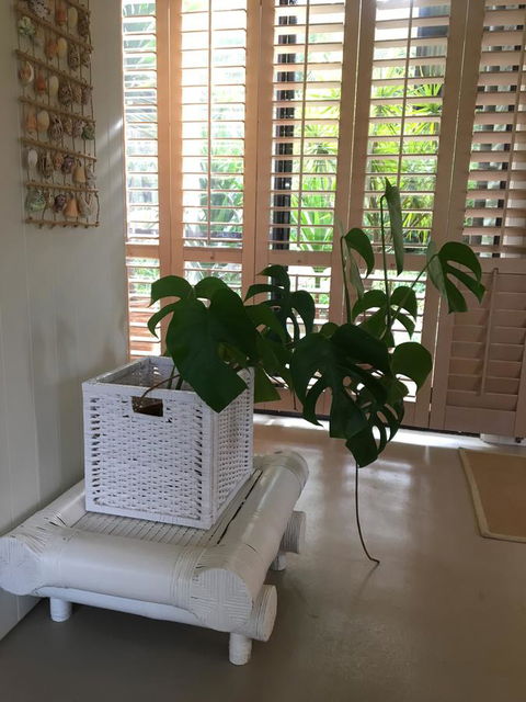 DESIGNER'S STUDIO - Accommodation QLD 5
