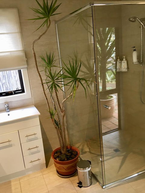 DESIGNER'S STUDIO - Accommodation QLD 11