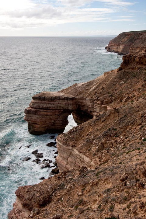 Kalbarri Palm Resort - Accommodation QLD 32