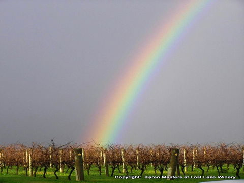 The Pemberton Hotel - Accommodation QLD 41