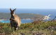 Bremer Bay B&B - thumb 30