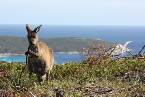 Bremer Bay B&B - Accommodation QLD 30