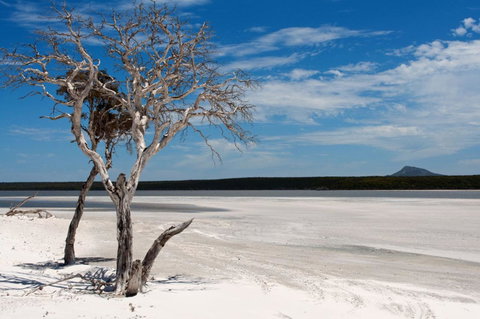 Bremer Bay B&B - Accommodation QLD 33