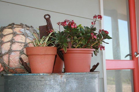 Bremer Bay B&B - Accommodation QLD 28