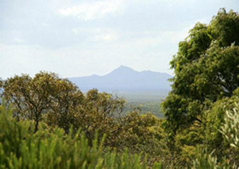 Bremer Bay B&B - Accommodation QLD 32