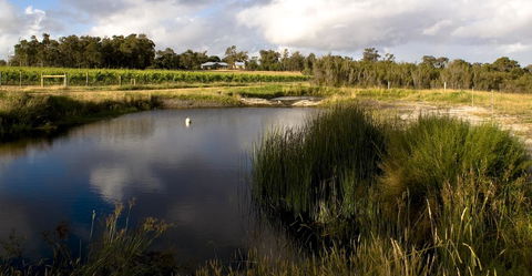 SilverSprings Spa Retreat Pet Friendly Cottages And Glampings - Accommodation QLD 2