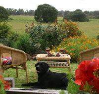 Silversprings cottages - Accommodation QLD