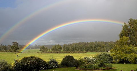 SilverSprings Spa Retreat Pet Friendly Cottages And Glampings - Accommodation QLD 19