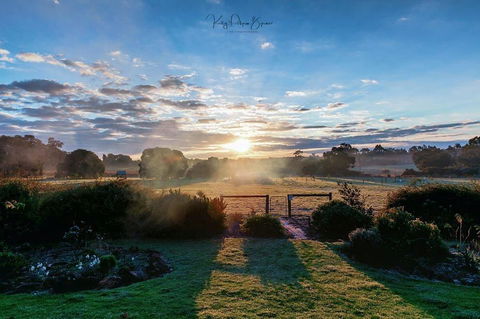 SilverSprings Spa Retreat Pet Friendly Cottages And Glampings - Accommodation QLD 26