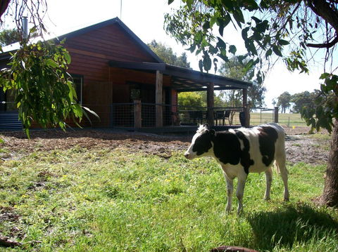 SilverSprings Spa Retreat Pet Friendly Cottages And Glampings - Accommodation QLD 23