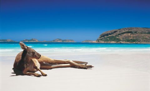 Esperance YHA - Accommodation QLD 14