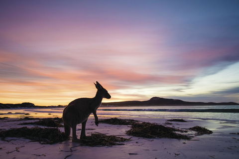 Esperance YHA - Accommodation QLD 20