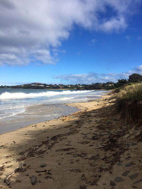 Swansea Holiday Park Tasmania - Accommodation QLD 15