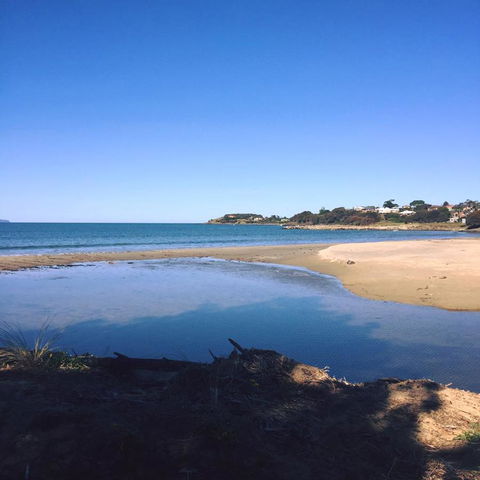 Swansea Holiday Park Tasmania - Accommodation QLD 14