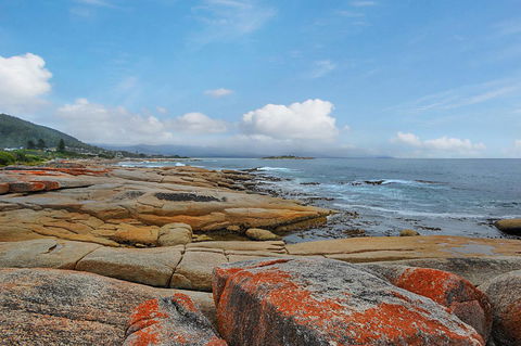 Harvey Farm Lodge - Accommodation QLD 2