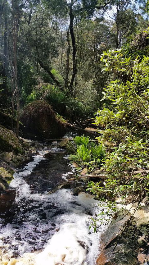 Grace Cottage - Accommodation QLD 44
