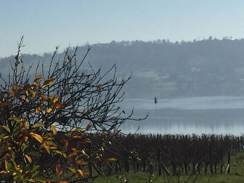 Amble\'a\'While On Tamar - Accommodation QLD 23