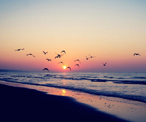 Kingston Beach-House Retreat - Accommodation QLD 18