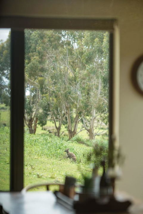 Adventure Bay Retreat Bruny Island - Accommodation QLD 7