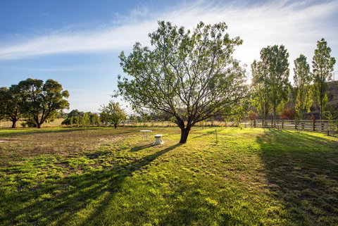 Prospect Country House & Restaurant - Accommodation QLD 31