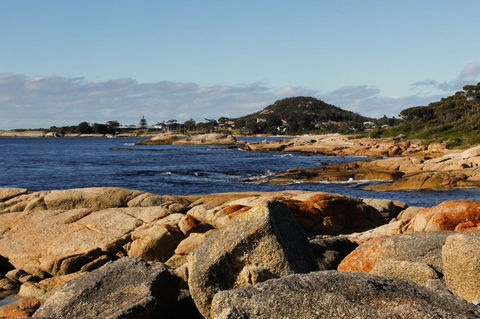 Mermaids Of Bicheno - Accommodation QLD 15