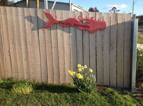 Mermaids Of Bicheno - Accommodation QLD 17