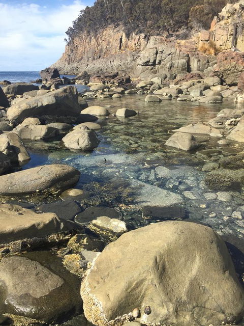 970 Adventure Bay Road - Accommodation QLD 2