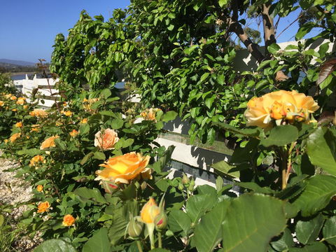 Garden By The Beach - Gateway To The East Coast, Close To Airport - Accommodation QLD 25
