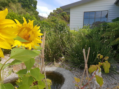Garden By The Beach - Gateway To The East Coast, Close To Airport - Accommodation QLD 13