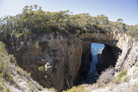 Eaglehawk Pavilions - Accommodation QLD 34