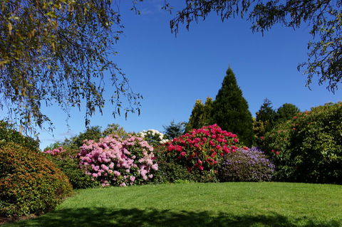 Highgrove - Accommodation QLD 15