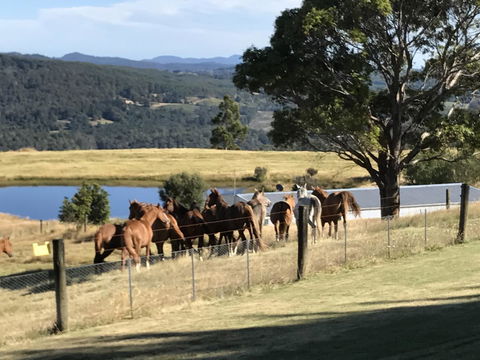 Highgrove - Accommodation QLD 25