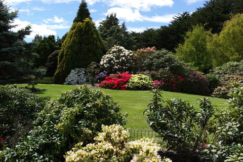 Highgrove - Accommodation QLD 18