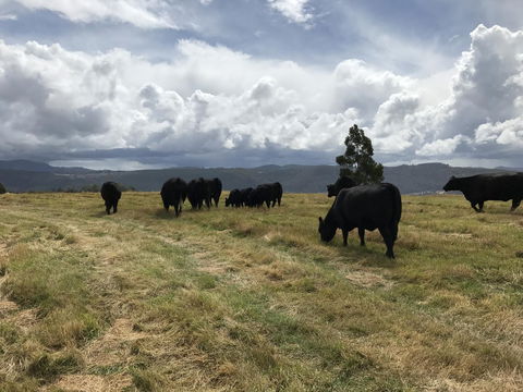 Highgrove - Accommodation QLD 24