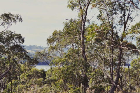 Oyster Cove Chalet - Accommodation QLD 17