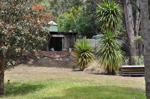Oyster Cove Chalet - Accommodation QLD 21