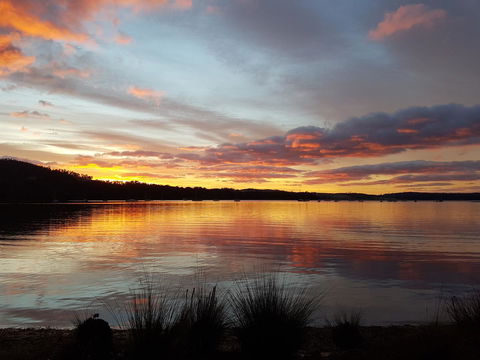 Oyster Cove Chalet - Accommodation QLD 10