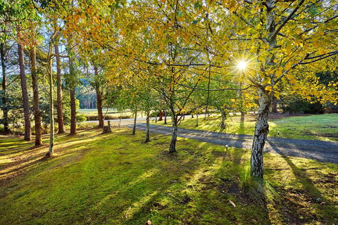 Oyster Cove Chalet - Accommodation QLD 1