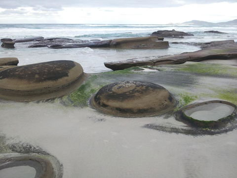 Suntrap Cove Bicheno - Accommodation QLD 6