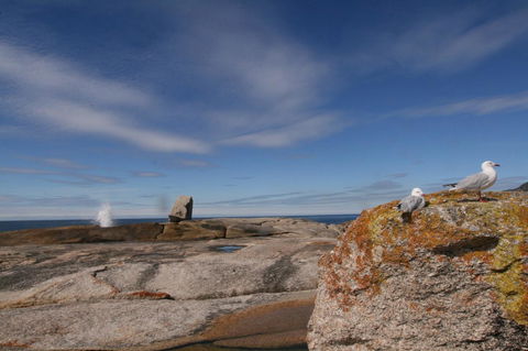 Suntrap Cove Bicheno - Accommodation QLD 37